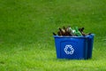 glass bottles ready to be recycled in a blue pot Royalty Free Stock Photo