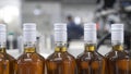 Glass bottles sealed with white foil and filled with alcohol move along conveyor line with control panel in Factory for Royalty Free Stock Photo