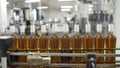 Glass bottles sealed with white foil and filled with alcohol move along conveyor line with control panel in Factory for Royalty Free Stock Photo