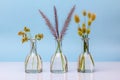 Glass bottles used as vase for grass, simple minimalist eco dÃÂ©cor