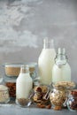 Glass bottles of vegan plant milk and almonds, nuts, coconut, hemp seed milk on grey concrete background. Banner with copy space. Royalty Free Stock Photo