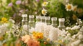 Glass bottles with white homeopathic pills on a backdrop of fresh herbs and flowers. Concept of alternative medicine Royalty Free Stock Photo