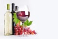 Glass, bottles of wine and grapes Royalty Free Stock Photo