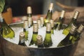 Glass bottles of wine in an ice bucket Royalty Free Stock Photo