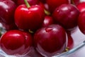 The glass bowl filled with ripe cherries Royalty Free Stock Photo