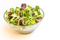 Glass bowl with a fresh mixed green salad only field tender and good to season