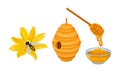 Glass Bowl Full of Honey and Beehive Vector Set