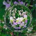 Glass bowl,lively bright volumetric background