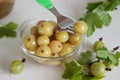 Glass bowl with marinated green gooseberries Royalty Free Stock Photo