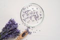 Glass bowl and spoon with dried lavender blossoms and bouquet with lavender isolated on white background. natural Royalty Free Stock Photo