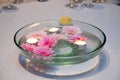 Glass Bowl Table Setting with Flowers and Candles Royalty Free Stock Photo