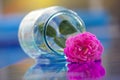 Glass box pink rose water Royalty Free Stock Photo