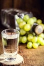 Glass of brandy based on grapes, called bagaceira in Portugal and in Italy Grappa or Graspa Royalty Free Stock Photo