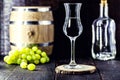 Glass of brandy based on grapes, called bagaceira in Portugal and in Italy Grappa or Graspa, with oak barrel in the background Royalty Free Stock Photo