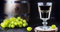 Glass of brandy based on grapes, called bagaceira in Portugal and in Italy Grappa or Graspa, with oak barrel in the background Royalty Free Stock Photo