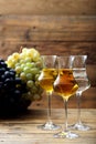 Glass of brandy or italian grappa Royalty Free Stock Photo