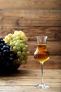 Glass of brandy or italian grappa Royalty Free Stock Photo