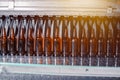 Glass brown beer bottles in industrial bottle washer. Glass brown beer.