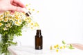 Glass brown bottle of essence or serum and with chamomile flowers Royalty Free Stock Photo