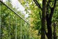 Glass building facade in nature reflecting green tree leaves