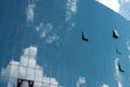 Glass business building. Reflection of the sky on a business building. Bottom view of modern skyscrapers Royalty Free Stock Photo