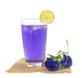 Glass of butterfly pea flower juice on white background Royalty Free Stock Photo