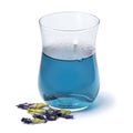 Glass with Butterfly pea flower tea and dried butterfly pea tea flowers close up Royalty Free Stock Photo