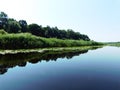 Glassy calm surface of the pond and reflections of wetland vegetation