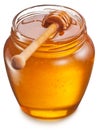 Glass can full of honey. Clipping paths.