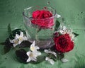 A glass cap with white jasmine and red roses and rain drops