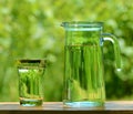 A Glass and ÃÂ° Carafe Full of Water on the Background of Foliage Royalty Free Stock Photo