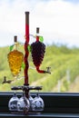 glass carafe with white and red wine in the shape of a grape and vineyard background Royalty Free Stock Photo