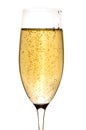 Glass of champagne Royalty Free Stock Photo