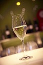 Glass of champagne. Blurred background