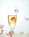 Glass of champagne and falling rose petals Royalty Free Stock Photo