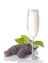 Glass Of Champagne With Grapes And Leaves