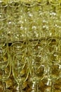 Glass champagne stemware Royalty Free Stock Photo