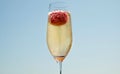 Glass of champagne with a strawberry fizzing in it Royalty Free Stock Photo