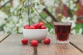 A glass of cherry liqueur and a bowl of frozen berries on the background of a flowering tree Royalty Free Stock Photo