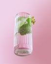 Glass of chill sparkling water, mojito cocktail with fresh mint, lime and rom isolated on pink background. Popular drink Royalty Free Stock Photo