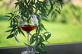 Glass of chilled cold white wine with strawberries on an outdoor wooden terrace