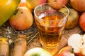 glass of cider with apples Royalty Free Stock Photo