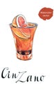 Glass of cinzano with red orange Royalty Free Stock Photo