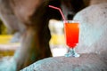 Glass of classic orange cocktail on stone edge of swimming pool with waterfall background. Luxury vacation concept Royalty Free Stock Photo