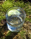 Glass of clean fresh water with lemon on tree stump with moss against green natural background. Spring ecologically pure water. Royalty Free Stock Photo