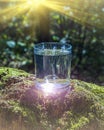 Glass of clean fresh water on tree stump with moss against green natural background. Spring ecologically pure water. World Water