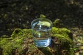 Glass of clean fresh water on tree stump with moss against green natural background. Spring ecologically pure water. World Water Royalty Free Stock Photo