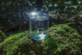 Glass of clean still water on tree stump with moss against green natural background. Spring ecologically pure water. World Water Royalty Free Stock Photo