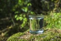 Glass of clean still water on tree stump with moss against green natural background. Spring ecologically pure water. World Water