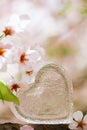 Glass clear heart in Spring with blossom